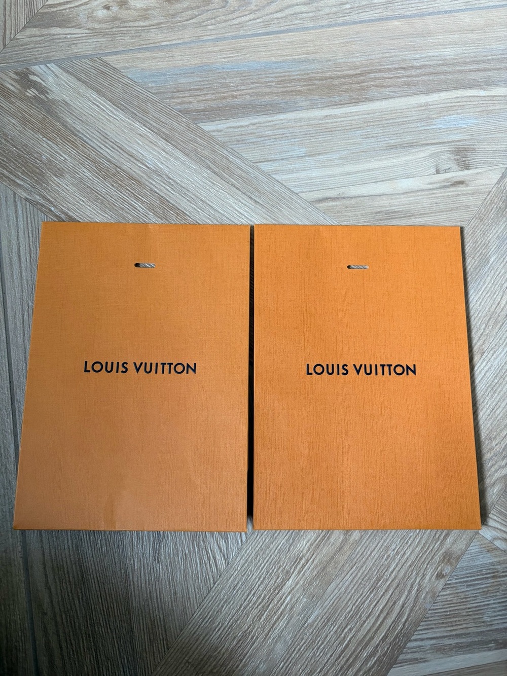 Louis Vuitton Paper Gift Pouch Envelope Empty Lot of 2 Designer Luxury